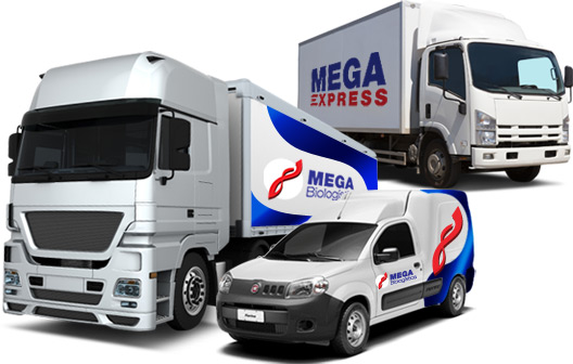 Carros Empresa